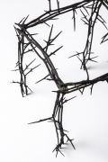 Michele Oka Doner's Terrible Chair, detailed view of thorns on seat and legs
